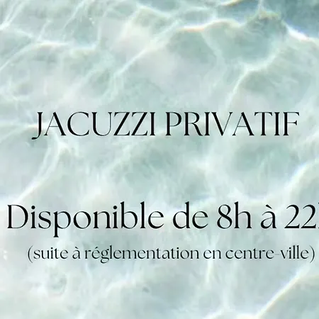 Suite Avec Jacuzzi Prive - Cognac Centre Ville - Ambiance Bresil